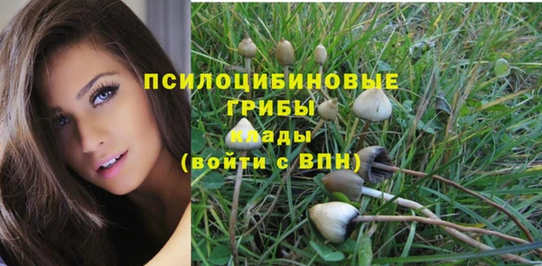 прущая мука Балахна