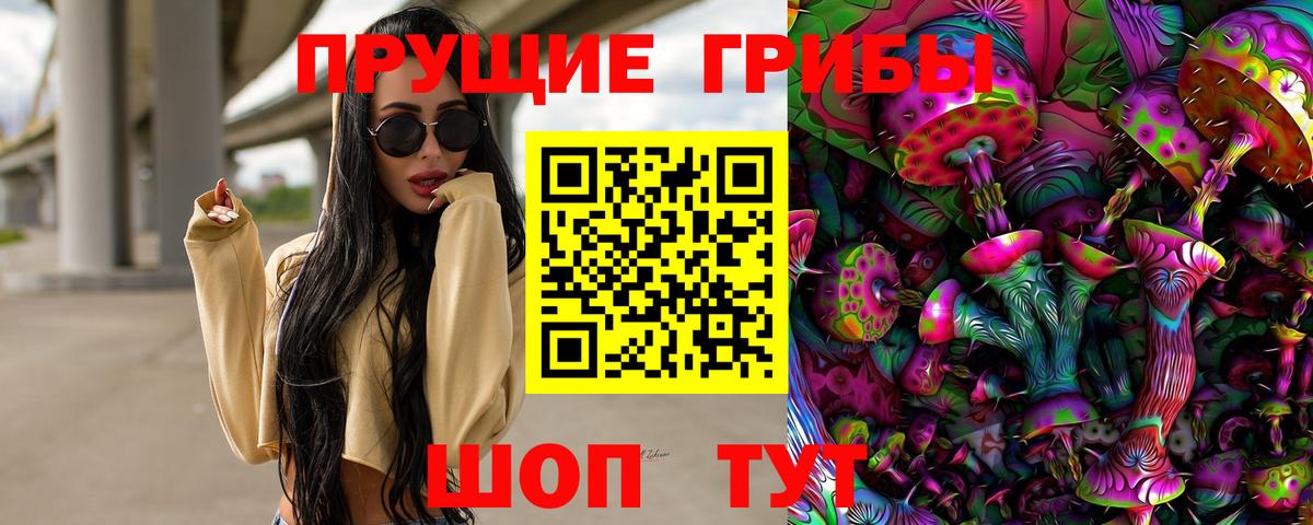 Псилоцибиновые грибы мицелий Коммунар