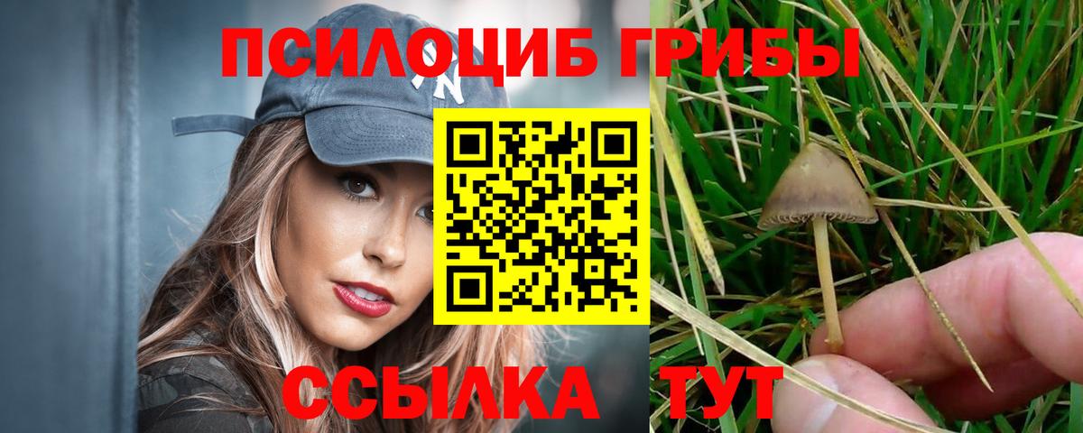 Галлюциногенные грибы мицелий  Вход с VPN  Коммунар  Псилоцибиновые грибы мухоморы 