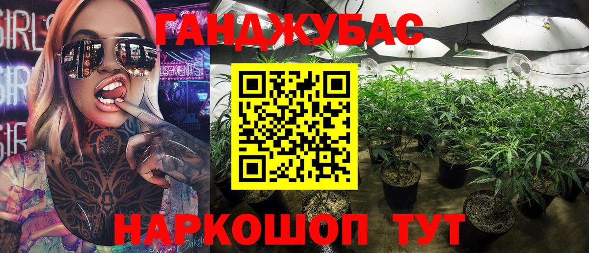 Бошки марихуана сатива Коммунар